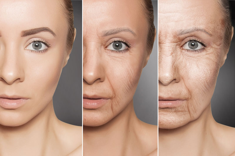 Aging Face Progression